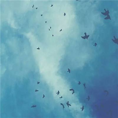 范特西胜利11人游戏(暂未上线)v1.0 安卓版