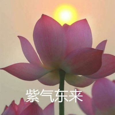 900放置传说官方版(暂未上线)v2.0 安卓版
